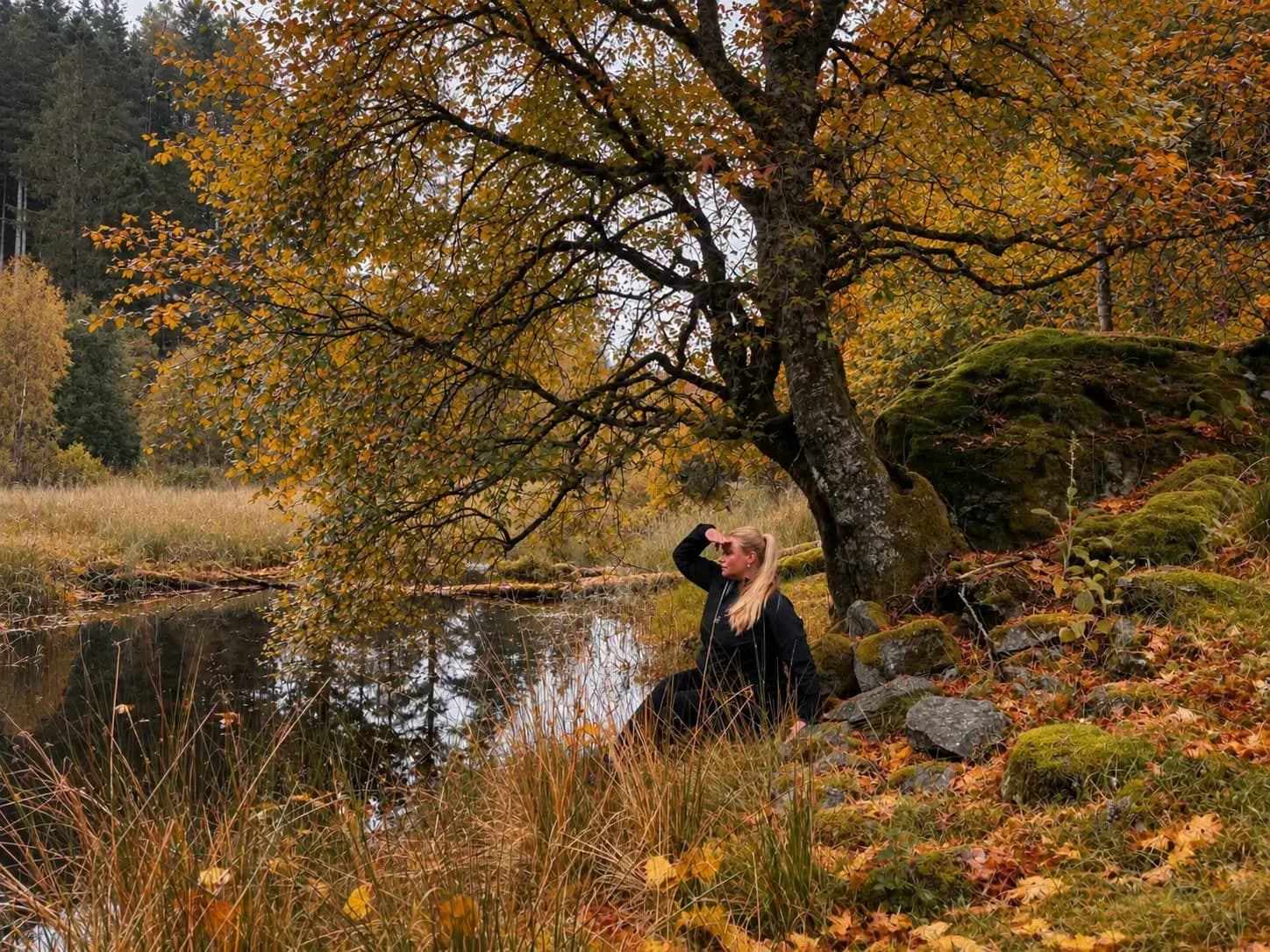 Oktober – en tid for å trekke litt innover